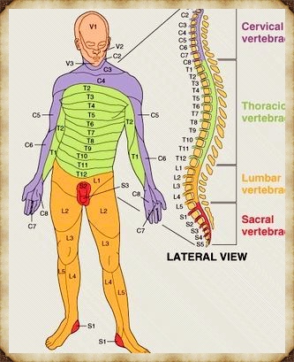 Spinal Cord Injury Super Basics